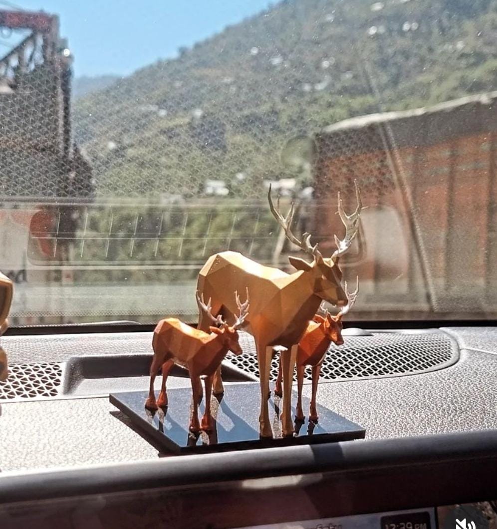 Car decorative item
