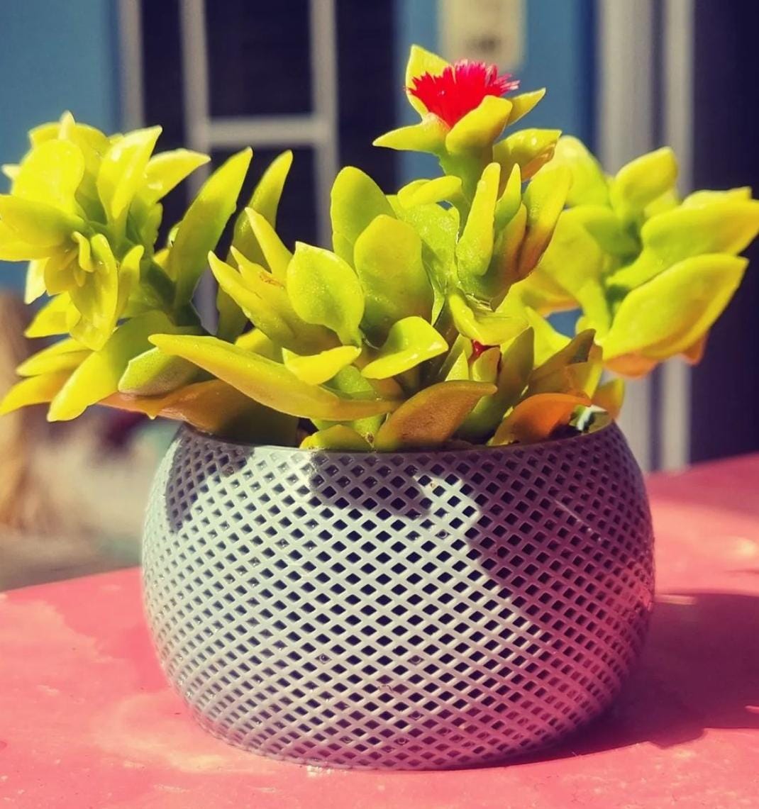 Plant decorative item